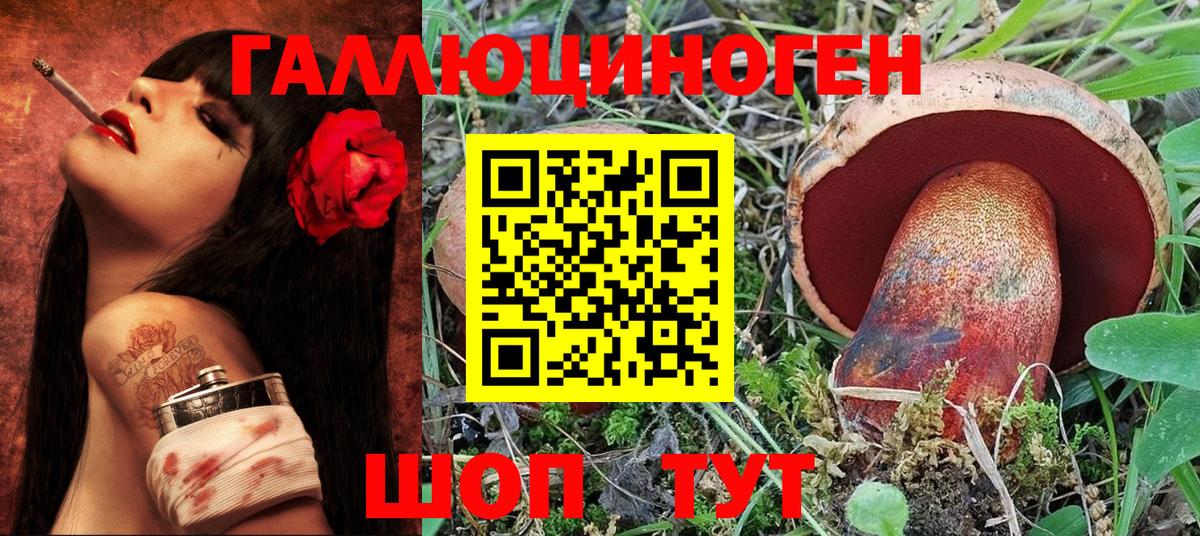 Галлюциногенные грибы Psilocybe  Вход с VPN  дарнет шоп  Бийск 