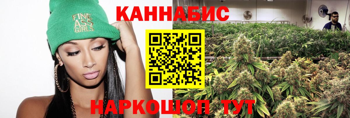 Каннабис сатива Бийск